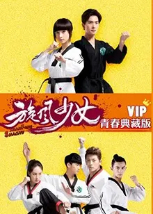《旋风少女第二季 VIP青春典藏版》：这青春疼痛，让我回忆起当年追“毛雪汪”的疯狂！