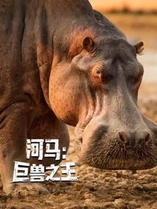《河马：巨兽之王》：一场关于生存的惊悚博弈，看完让人心头发紧！